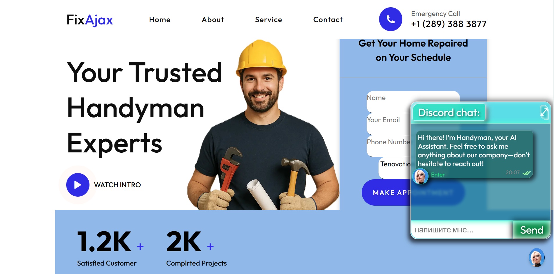  The handyMan from Toronto